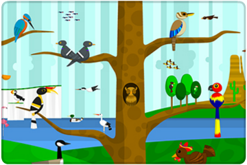 Oiseaux